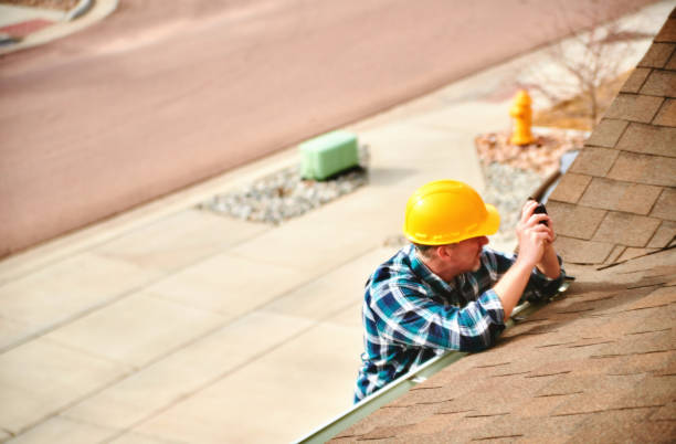 Best Roof Maintenance and Cleaning  in Campbell, FL